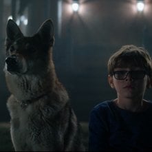 Il colore venuto dallo spazio: una sequenza del film