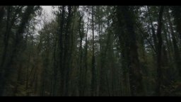 Shadows - Trailer 60'