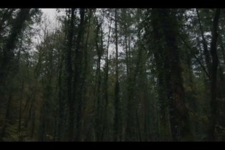 Shadows - Trailer 60'