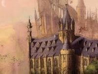 Harry Potter: 10 curiosità non dette nella saga ma confermate dalla Rowling