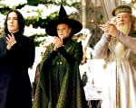 Harry Potter: i professori meglio adattati dai libri ai film