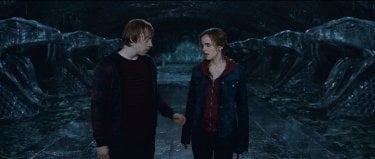 Wb F8 Ronandhermioneinchamberofsecrets Hp72 Fp 00521R