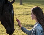 Black Beauty: il trailer del film in arrivo su Disney+