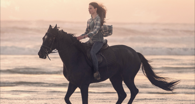 Black Beauty - Autobiografia Di Un Cavallo