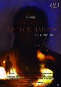 Locandina di Identifying Pictures