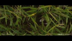 The Stand - The Prophet Vs. The Dark Man Promo