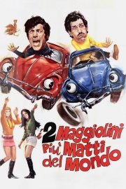 Locandina di I due maggiolini più matti del mondo