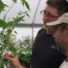 We Are the Champions: una scena della serie Netflix