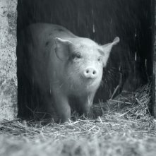 Gunda: una scena del film