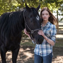 Black Beauty - Autobiografia di un cavallo: una scena con Mackenzie Foy