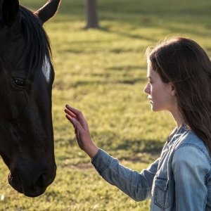 Black Beauty - Autobiografia di un cavallo: Mackenzie Foy in una scena