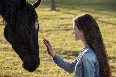 Black Beauty Autobiografia Di Un Cavallo 2