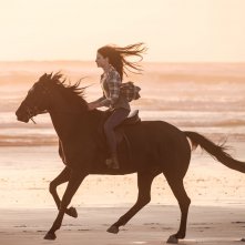 Black Beauty - Autobiografia di un cavallo: una sequenza