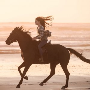 Black Beauty - Autobiografia di un cavallo: una sequenza