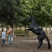 Black Beauty - Autobiografia di un cavallo: una scena