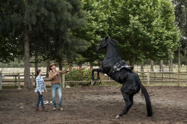 Black Beauty Autobiografia Di Un Cavallo La Recensione Movieplayer It