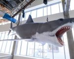 Lo Squalo: il modello restaurato di Bruce è arrivato all'Academy Museum of Motion Pictures (VIDEO)