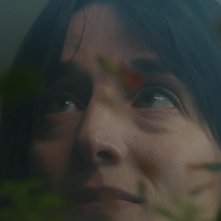 Quasi Natale: un'immagine