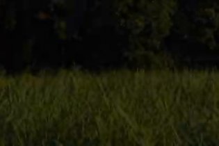 Antebellum - Trailer Italiano