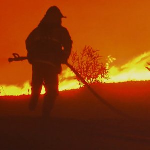 California, Paradiso in fiamme: un'immagine del film