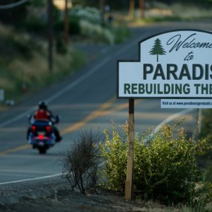 California, Paradiso in fiamme: una sequenza del film