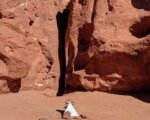 Il monolite nel deserto dello Utah è scomparso e nessuno sa che fine abbia fatto