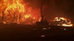 California, Pardiso in fiamme - Trailer