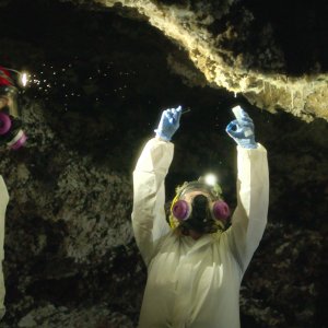 Mondi alieni: una scena tratta dalla docuserie Netflix