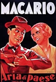 Locandina di Aria di paese