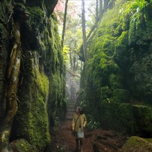Il giardino segreto: una scena del film