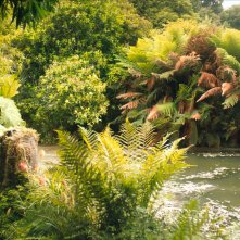 Il giardino segreto: una scena