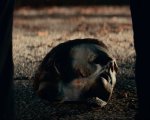 Halloween Kills: svelato il divieto del film in arrivo nel 2021