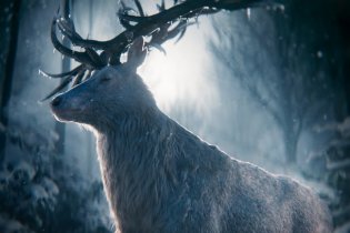 Shadow And Bone - Announcement Teaser