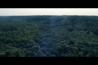 Wrong Turn - Trailer