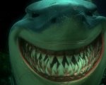 Alla ricerca di Nemo: gli omaggi a Shining e Lo squalo