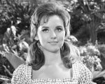 Dawn Wells, Mary Ann ne L'isola di Gilligan, morta di Covid-19 a 82 anni