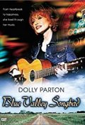 Locandina di Blue Valley Songbird