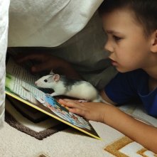 Life in a Day 2020: una foto del film