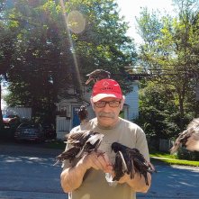 Life in a Day 2020: una foto del film