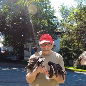 Life in a Day 2020: una foto del film