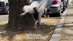 Mother Schmuckers - Trailer