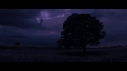 Barb and Star Go To Vista Del Mar - Trailer