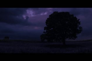 Barb and Star Go To Vista Del Mar - Trailer