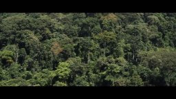 Night Of The Kings - Trailer