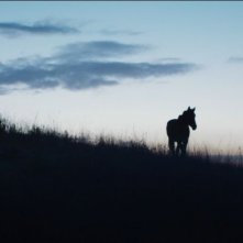 La ragazza spettinata: un'immagine del film