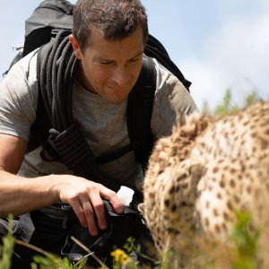 Scuola di sopravvivenza: Missione safari, Bear Grylls in una scena del film