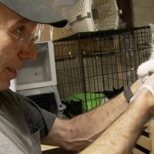 S.O.S. Gatto: una scena del film