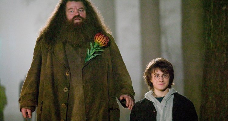 Quando Esce Harry Potter Al Cinema 2021