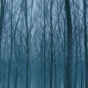 Res Creata: una sequenza