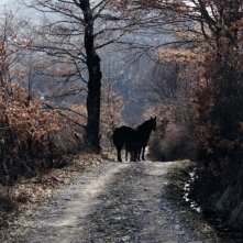 Res Creata: una scena del film